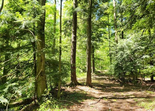 Property at VACANT LAND Brakeman Rd, OH 44077